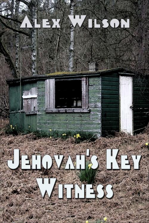 Cover of the book Jehovah's Key Witness by Alex Wilson, Alex Wilson