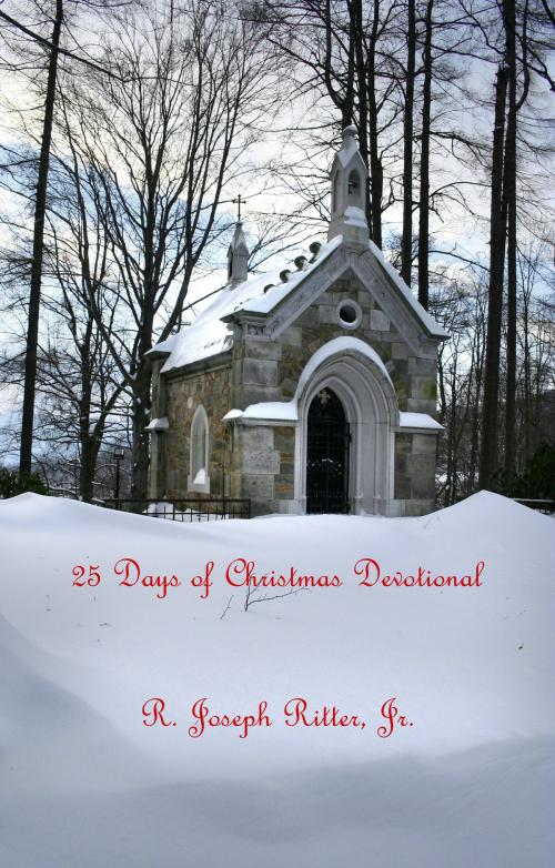 Cover of the book 25 Days of Christmas Devotional by R. Joseph Ritter, Jr., R. Joseph Ritter, Jr.