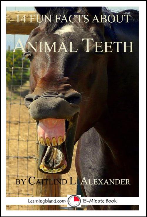 Cover of the book 14 Fun Facts About Animal Teeth: A 15-Minute Book by Caitlind L. Alexander, LearningIsland.com