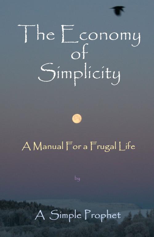 Cover of the book The Economy of Simplicity by A Simple Prophet, Libertine Books