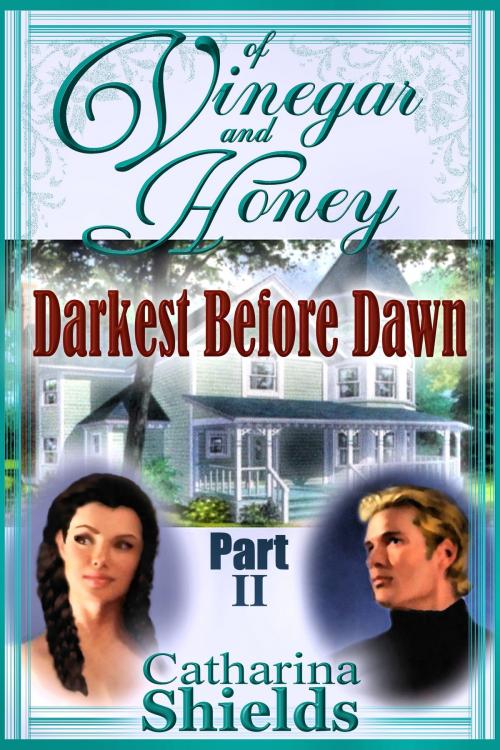 Cover of the book Of Vinegar and Honey, Part II: "Darkest Before Dawn" by Catharina Shields, Catharina Shields