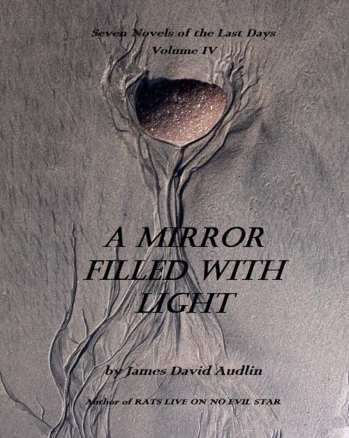 Cover of the book The Seven Last Days: Volume IV: A Mirror Filled With Light by James David Audlin, James David Audlin