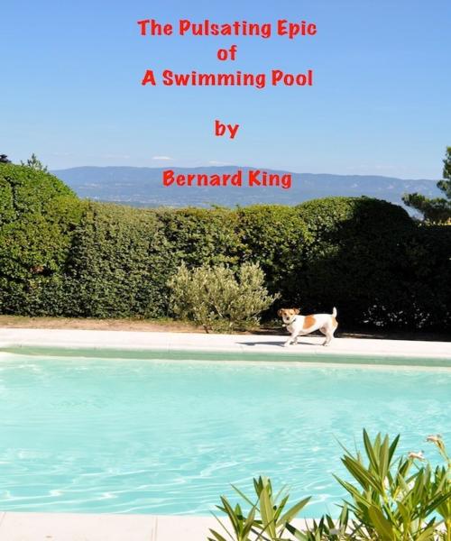 Cover of the book The Pulsating Epic Of A swimming Pool by Bernard King, Bernard King