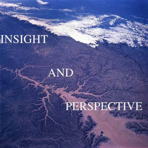 Cover of the book Insight and Perspective by Jon Bristol, Jon Bristol