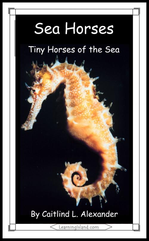 Cover of the book Sea Horses: Tiny Horses of the Sea by Caitlind L. Alexander, LearningIsland.com