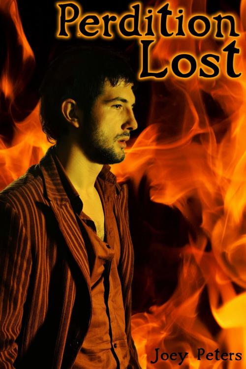 Cover of the book Perdition Lost by Joey Peters, Joey Peters
