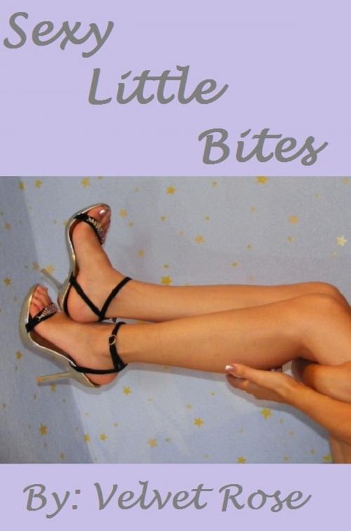 Cover of the book Sexy Little Bites: Short Stories to Excite by Velvet Rose, Velvet Rose
