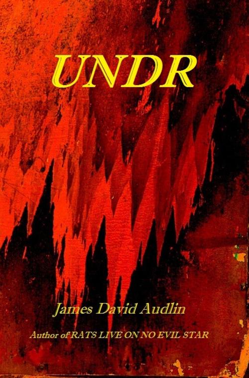 Cover of the book Undr by James David Audlin, James David Audlin