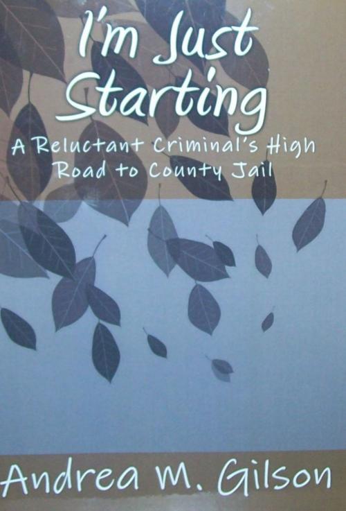 Cover of the book I'm Just Starting: A Reluctant Criminal's High Road to County Jail by Andrea M. Gilson, Andrea M. Gilson