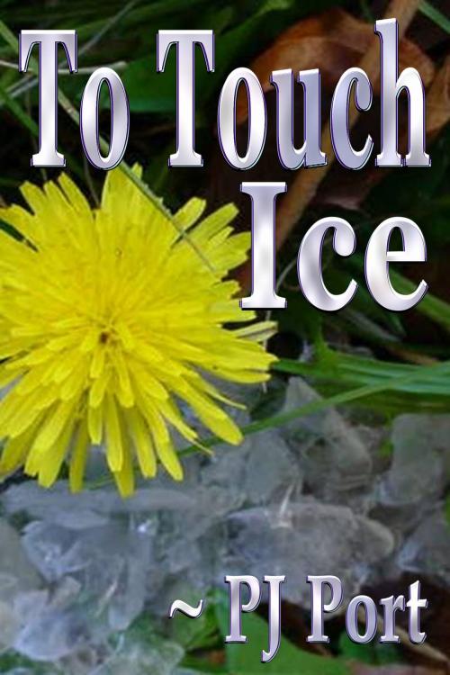 Cover of the book To Touch Ice by PJ Port, UnicornPanther Books