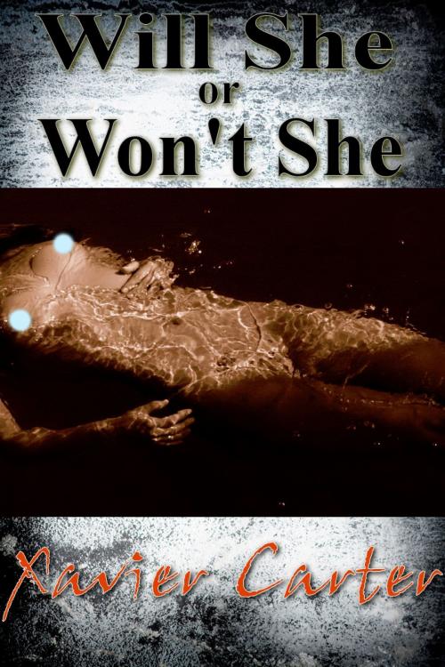 Cover of the book Will She or Won't She by Xavier Carter, Xavier Carter