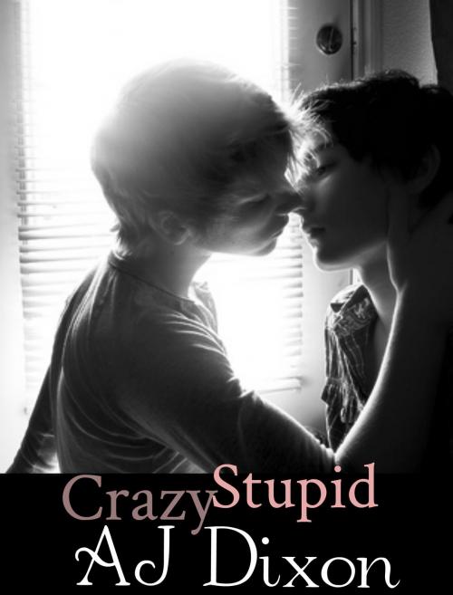 Cover of the book Crazy Stupid by AJ Dixon, AJ Dixon