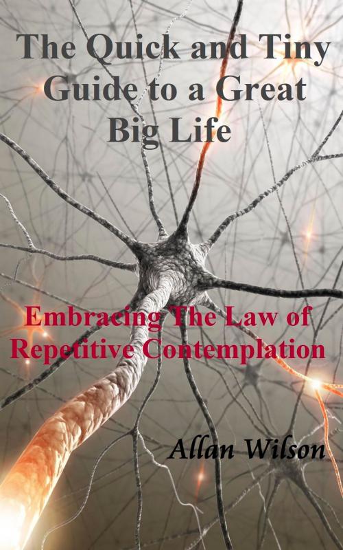 Cover of the book The Quick and Tiny Guide to a Great Big Life. Embracing The Law of Repetitive Contemplation by Allan Wilson, Allan Wilson