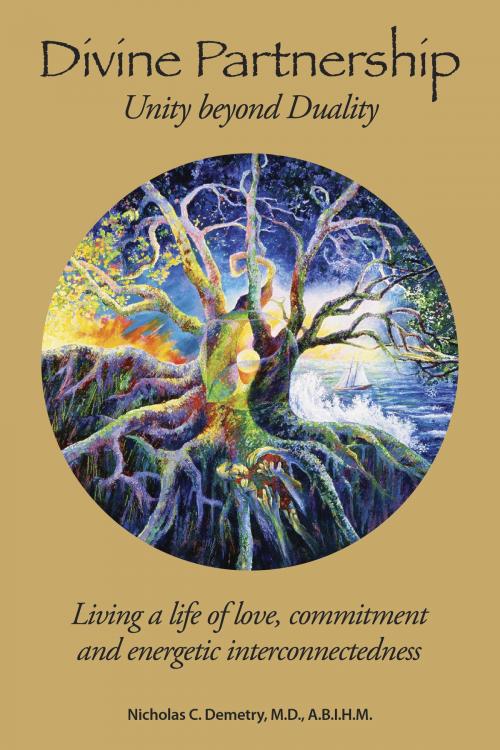 Cover of the book Divine Partnership by Nicholas Demetry, Nicholas Demetry