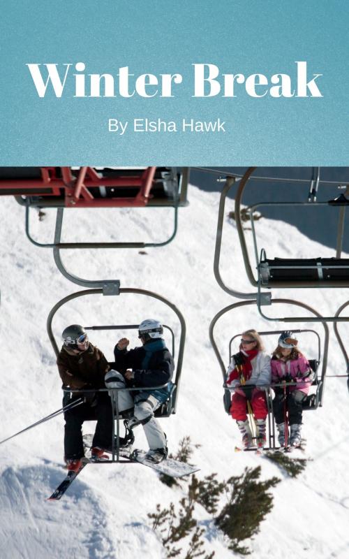Cover of the book Winter Break by Elsha Hawk, Elsha Hawk