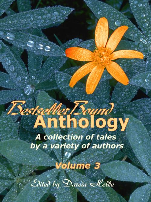 Cover of the book BestsellerBound Short Story Anthology Volume 3 by Maria Savva, Maria Savva