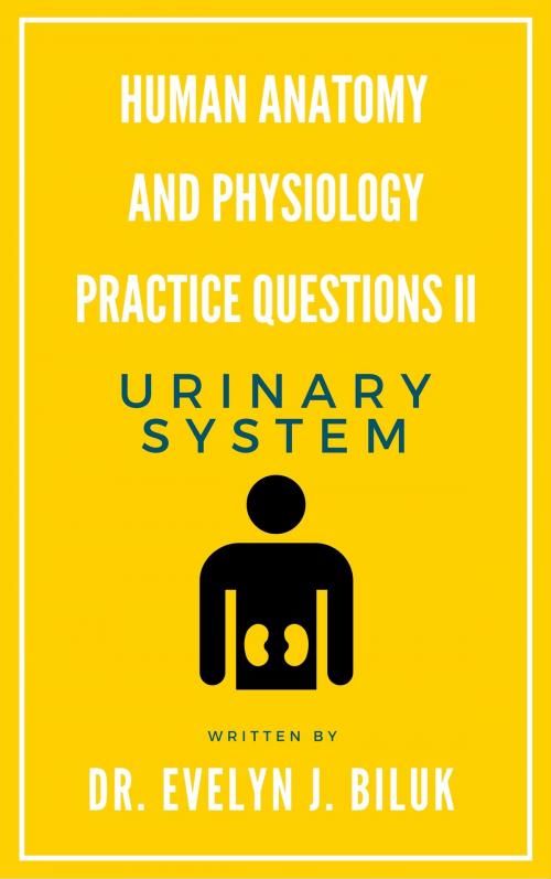 Cover of the book Human Anatomy and Physiology Practice Questions II: Urinary System by Dr. Evelyn J Biluk, Dr. Evelyn J Biluk