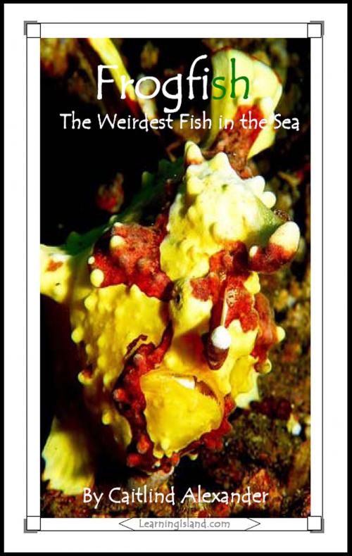 Cover of the book Frogfish: The Weirdest Fish in the Sea by Caitlind L. Alexander, LearningIsland.com