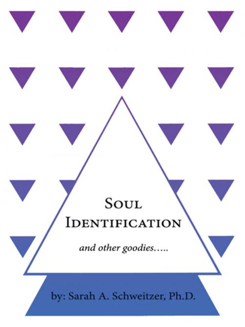 Cover of the book Soul Identification and Other Goodies….. by Sarah A. Schweitzer, AuthorHouse