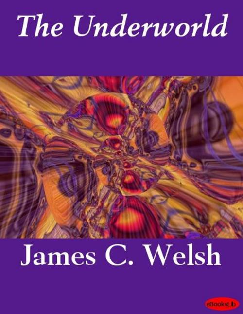 Cover of the book The Underworld by James C. Welsh, Release Date: November 10, 2011