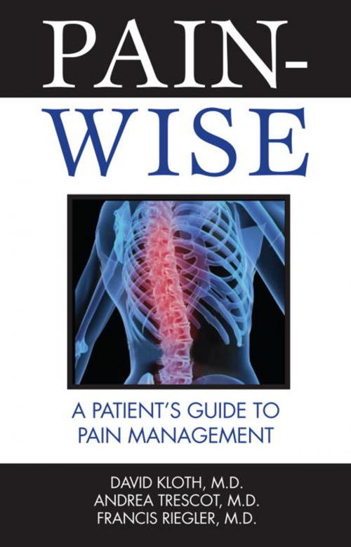 Cover of the book Pain-Wise by David Kloth, M.D., Andrea Trescot, M.D., Francis Riegler, M.D., Hatherleigh Press