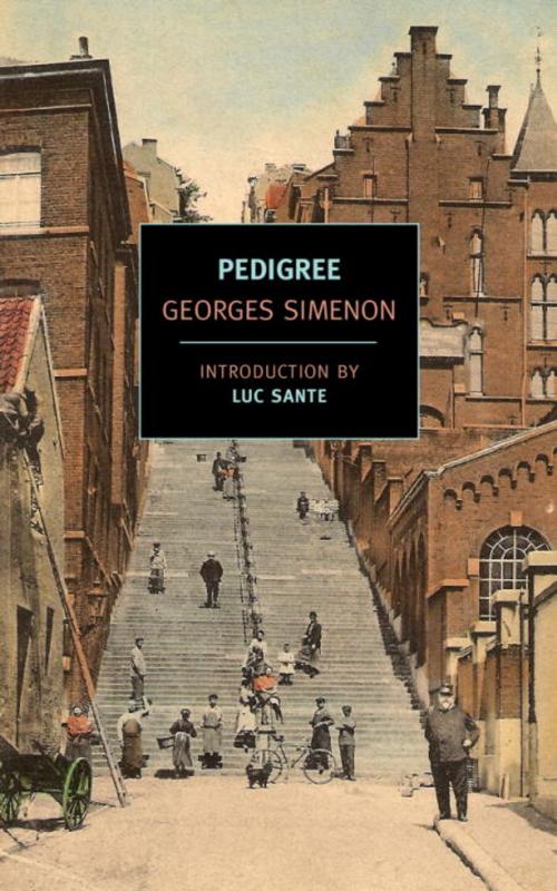 Cover of the book Pedigree by Georges Simenon, New York Review Books