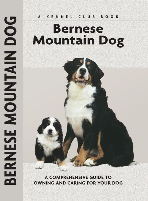 Cover of the book Bernese Mountain Dog by Louise Harper, CompanionHouse Books