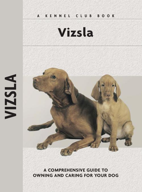Cover of the book Vizsla by Robert L. White, CompanionHouse Books