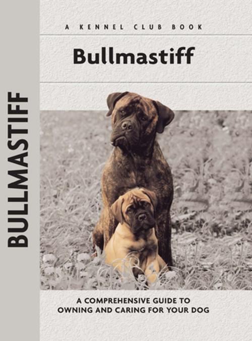 Cover of the book Bullmastiff by Juliette Cunliffe, CompanionHouse Books