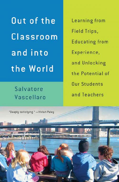 Cover of the book Out of the Classroom and into the World by Salvatore Vascellaro, The New Press