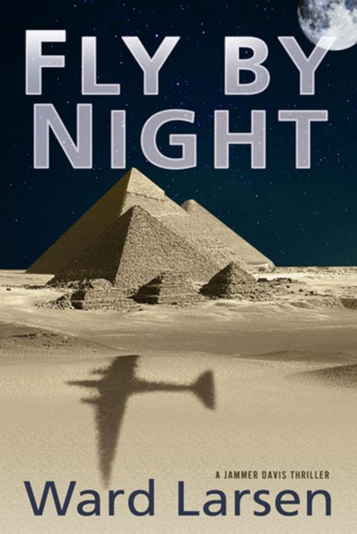 Cover of the book Fly by Night by Ward Larsen, Oceanview Publishing