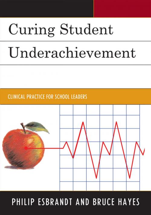 Cover of the book Curing Student Underachievement by Philip Esbrandt, Bruce Hayes, R&L Education