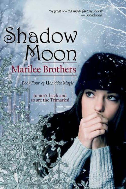 Cover of the book Shadow Moon by Marilee Brothers, BelleBooks, Inc.
