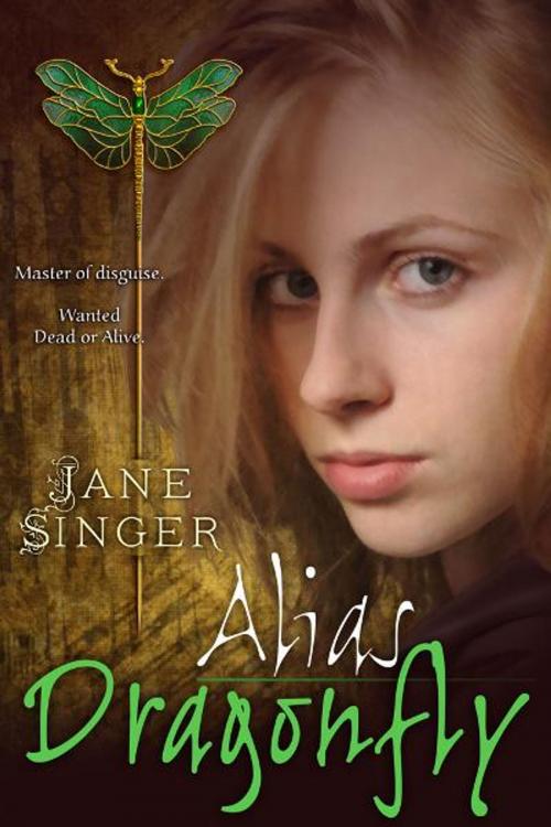 Cover of the book Alias Dragonfly by Jane Singer, BelleBooks Inc.