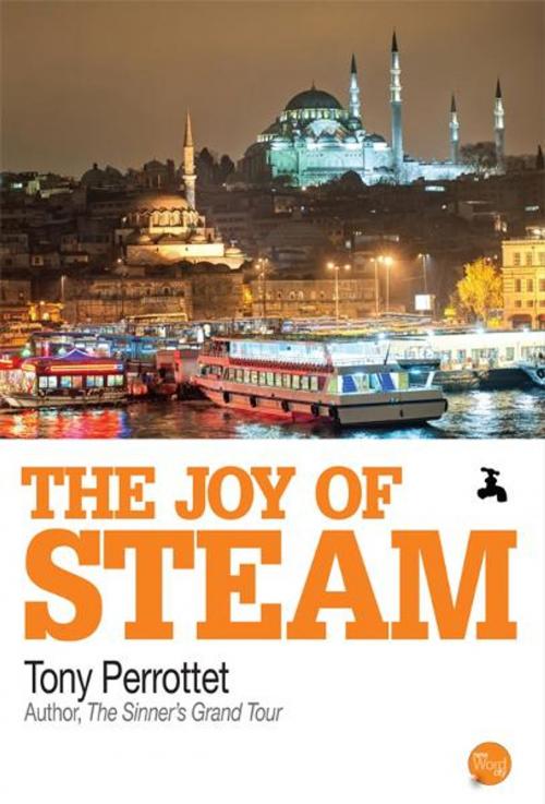 Cover of the book The Joy of Steam by Tony Perrottet, New Word City, Inc.