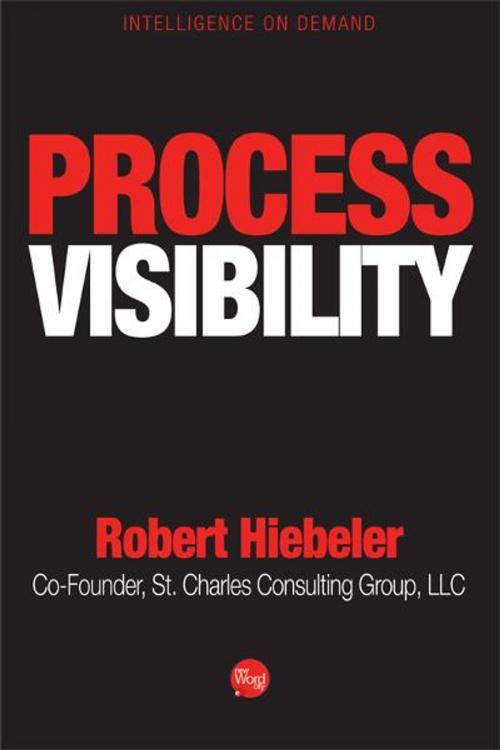 Cover of the book Process Visibility by Robert Hiebeler, New Word City, Inc.