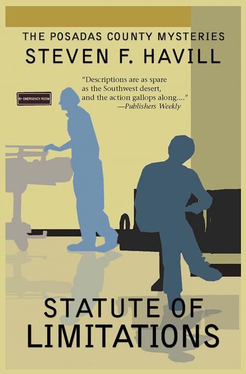 Cover of the book Statute of Limitations by Steven F Havill, Sourcebooks