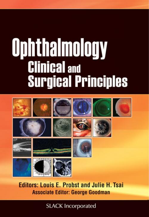 Cover of the book Ophthalmology by , SLACK Incorporated