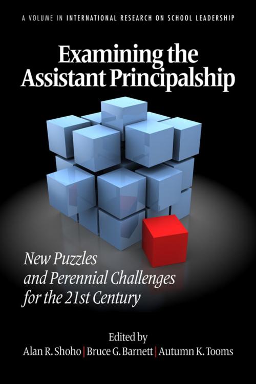 Cover of the book Examining the Assistant Principalship by , Information Age Publishing