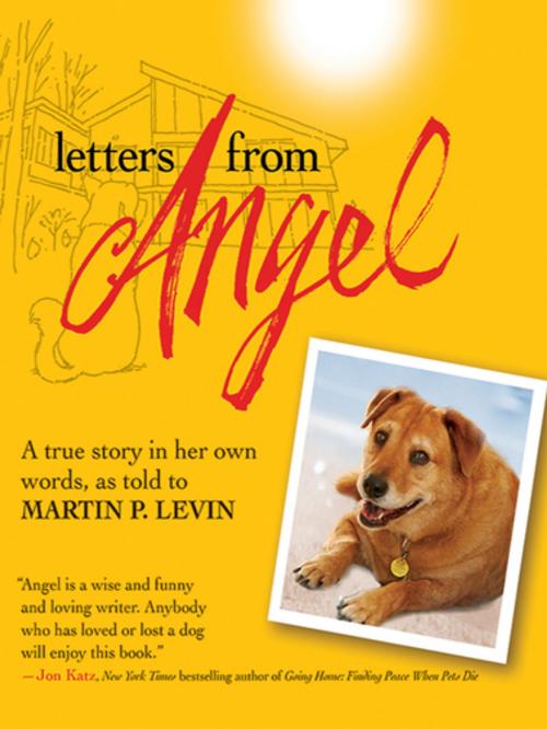Cover of the book Letters from Angel by Martin P. Levin, Skyhorse Publishing