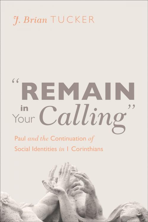 Cover of the book “Remain in Your Calling” by J. Brian Tucker, Wipf and Stock Publishers