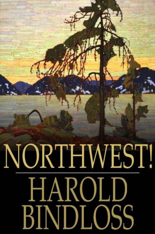 Cover of the book Northwest! by Harold Bindloss, The Floating Press
