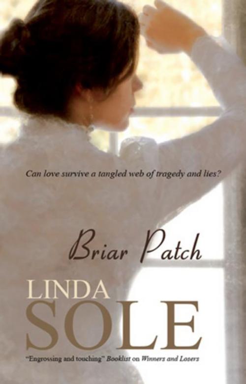 Cover of the book Briar Patch by Linda Sole, Severn House Publishers