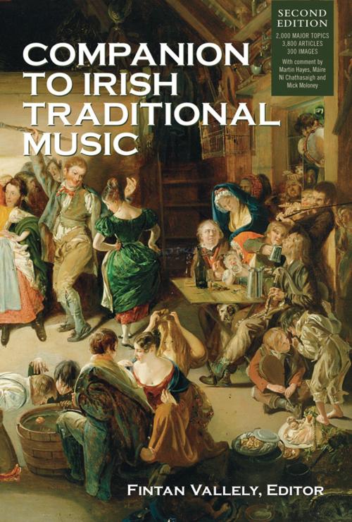 Cover of the book Companion to Irish Traditional Music by , Cork University Press
