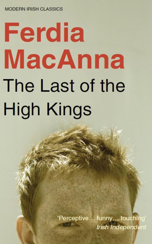Cover of the book The Last of the High Kings by Ferdia MacAnna, New Island Books