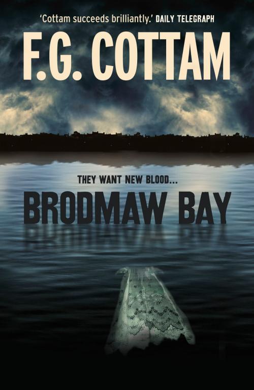 Cover of the book Brodmaw Bay by F.G. Cottam, Hodder & Stoughton