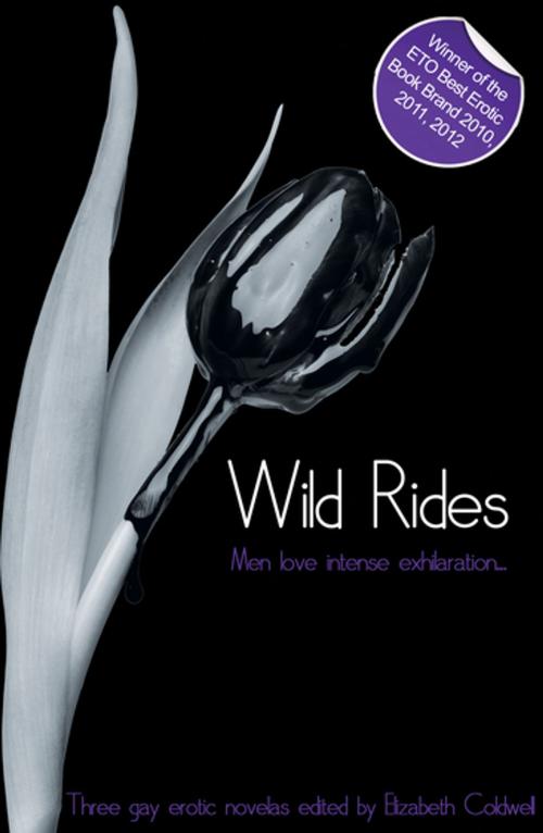 Cover of the book Wild Rides by Elizabeth Coldwell, Xcite Books