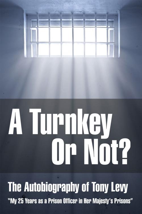 Cover of the book A Turnkey or Not by Tony Levy, Andrews UK
