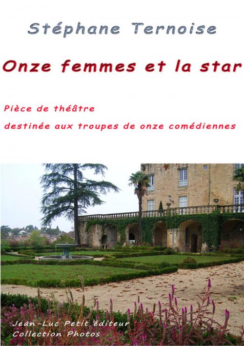 Cover of the book Onze femmes et la star by Stéphane Ternoise, Jean-Luc PETIT Editions