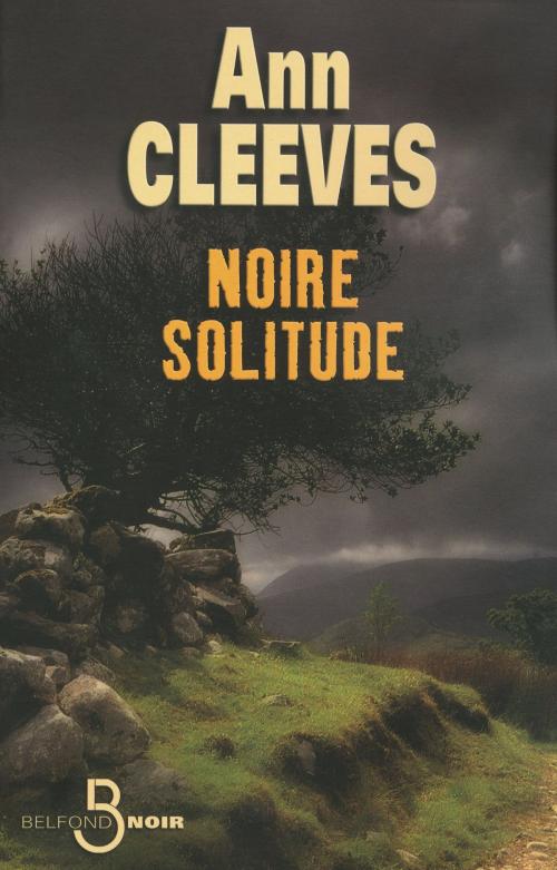 Cover of the book Noire solitude by Ann CLEEVES, Place des éditeurs